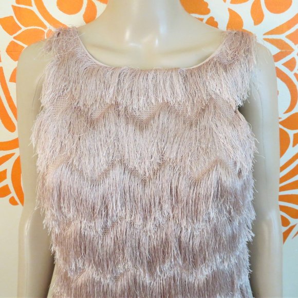 Zara Sleeveless Blush Fringe Dress XS - Picture 2 of 3